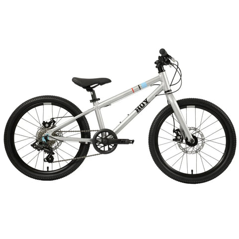 HOY Pentland 20" Kids Bike