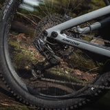 AMFLOW PR CARBON PRO