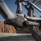 AMFLOW PR CARBON PRO
